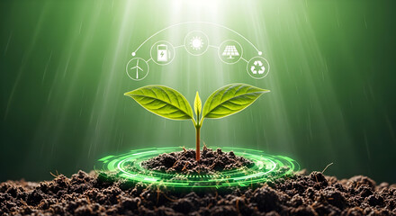 Young plant sprouts with glowing green digital interface and renewable energy icons