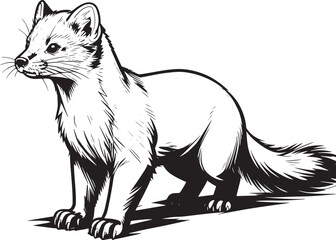 closeup-shot-european-pine-marten-with-wintery-landscape-background vector line art