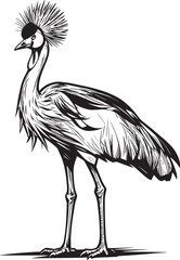 grey-crowned-crane-also-known-as-african-crowned-crane vector line art