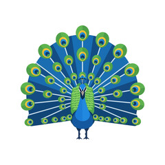 Stunning peacock proudly displays vibrant iridescent tail feathers in full display, a symbol of beauty and elegance