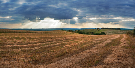 dark stormy sky and warm rays of sunset, field after harvest