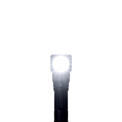 light bulb on white background