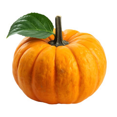 pumpkin isolated on white background