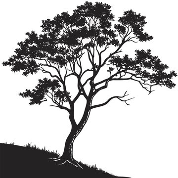 mountain serviceberry tree with leaves