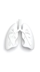 White 3D anatomical lungs, medical illustration