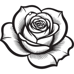 Black Silhouette of a Rose with Leaves on White Background