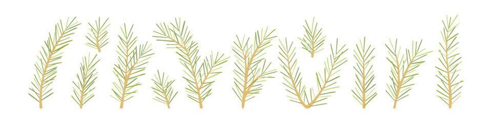 A large set of beautiful Christmas tree branches on a white background. Winter plant elements. Christmas decor.