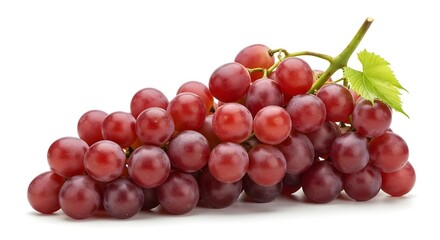 Fototapeta premium Fresh Red Grapes Bunch with Water Drops. Healthy Food, Wine, and Antioxidant Concept