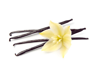 Vanilla stick with vanilla flower