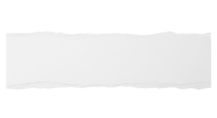 A horizontal strip of white torn paper with rough uneven edges, realistic fiber texture, minimal shadow, isolated on neutral background, modern stationery style