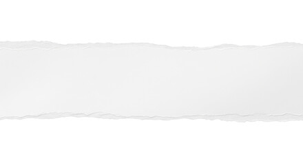 A horizontal strip of white torn paper with rough uneven edges, realistic fiber texture, minimal shadow, isolated on neutral background, modern stationery style