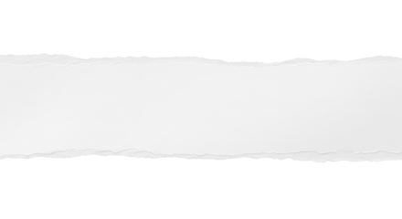 A horizontal strip of white torn paper with rough uneven edges, realistic fiber texture, minimal shadow, isolated on neutral background, modern stationery style