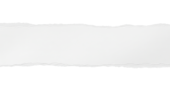A horizontal strip of white torn paper with rough uneven edges, realistic fiber texture, minimal shadow, isolated on neutral background, modern stationery style