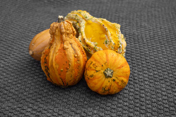 Calabazas ornamentales de color naranja sobre un fondo textil de color gris