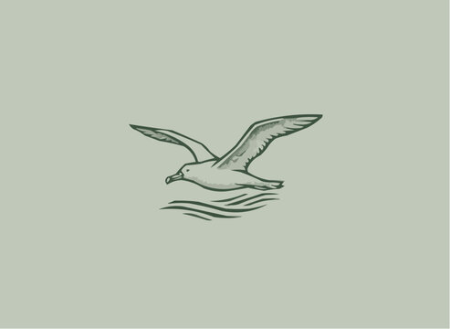 Elegant seabird soaring above ocean waves, a vintage styled nautical design for logos or branding, conveying freedom, adventure, and coastal serenity