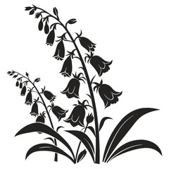 foxglove lat digitalis purpurea vector © MOHAMMADRIPON