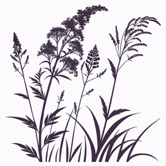 filipendula rubra queen vector