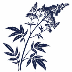 filipendula purpurea vector