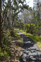 Naklejka premium Pu'upua'i Devastation Trail on Big Island, HI