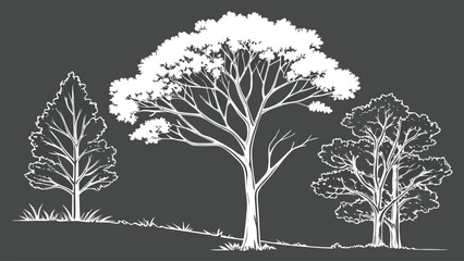 CAD Tree Line Minimal Style Vector Set of Outline Tree Symbols for Architecture and Landscape Design Drawing