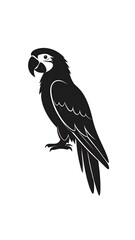 Obraz premium Silhouette of a parrot