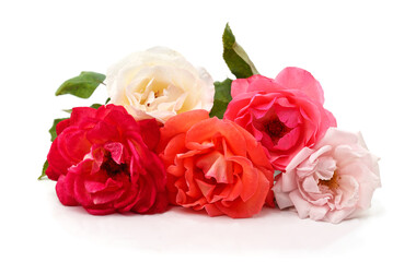 Bouquet of multicolored roses.