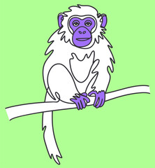 Line art purple-faced langur endemic
primate, minimalist monkey portrait.