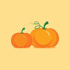flat vector illustration of two orange pumpkins