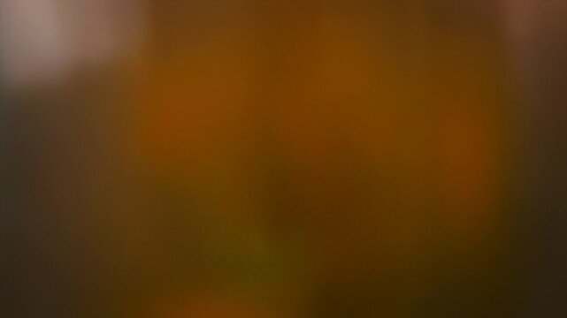 Warm and natural, light leaks. Smooth motion, bokeh and transitions video background loop. Perfect as an overlay texture effect, for mastering digital art videos