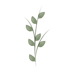 Watercolor illustration of a simple green plant stem with leaves. Vector graphic element for environmental conservation, nature presentations, and more.
