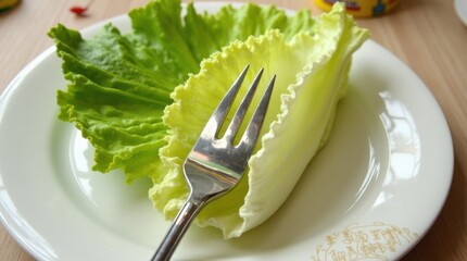 Single lettuce leaf on large plate, fork aligned, measuring tape
