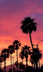 Obraz premium Silhouette of palm trees against a vibrant Los Angeles sunset, fiery orange and pink hues painting the sky, heat, evening