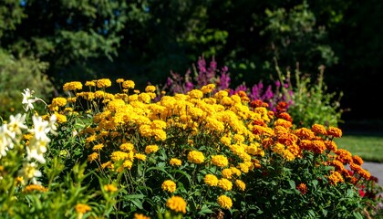 Obraz premium Vibrant flower bed in a garden setting