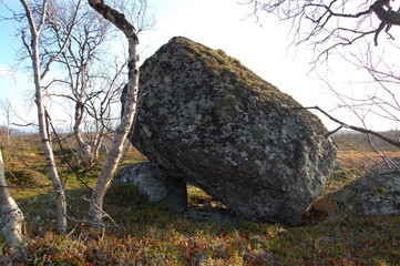 An unusual stones in the polar tundra on an autumn day.