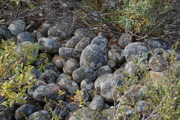 An unusual stones in the polar tundra on an autumn day.