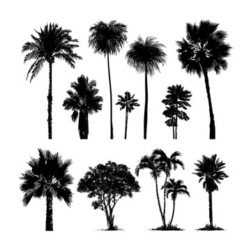 Diverse collection of black tropical palm tree silhouettes.