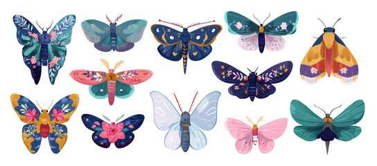 Fototapeta premium Artistic set of twelve colorful butterfly and moth illustrations.