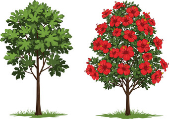 Fototapeta premium Green leafy tree and red flowering tree side by side, vibrant nature contrast, seasonal botanical beauty, expressive outdoor landscape scene