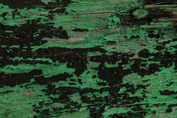 Peeling green paint on old wooden surface