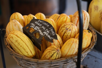 delicata squash 