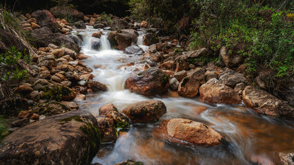 Amor por el entorno © Jasbleidy