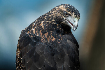 Amor por el entorno © Jasbleidy