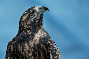 Amor por el entorno © Jasbleidy