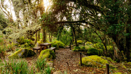 Amor por el entorno © Jasbleidy