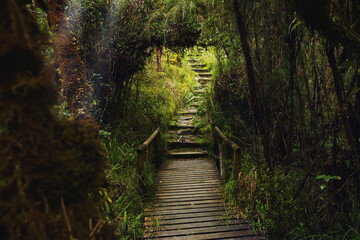 Amor por el entorno © Jasbleidy