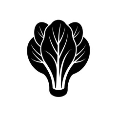 Silhouette image of bok choy plant