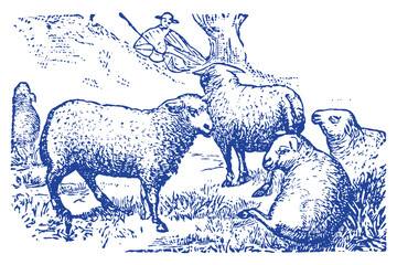Vector art of vintage illustration of sheep grazing in a field with a shepherd in the background, blue ink drawing