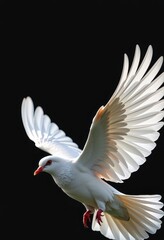 Obraz premium A majestic white dove with wings outstretched soars against a stark black background, symbolizing peace and hope, peace, light