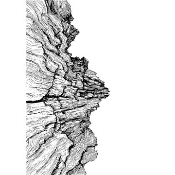 Illustration of a tree trunk with rough bark texture in black and white detailed drawing style art design