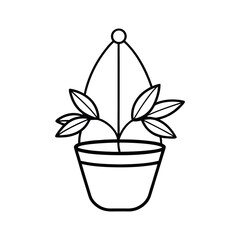 Hanging Plant Outline Drawing
